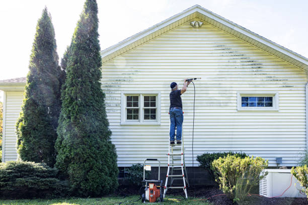 Best Gutter Cleaning  in Dearborn, MI